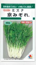 送料無料　[葉物]　みずな　京みぞれ　5ml　タキイ種苗(株)　GF
