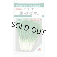 みずな 京みぞれ 5ml タキイ種苗(株) GF