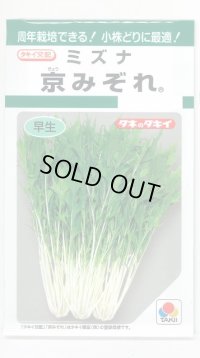 送料無料　みずな　京みぞれ　5ml　タキイ種苗(株)　GF