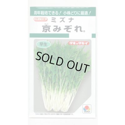 画像1: みずな 京みぞれ 5ml タキイ種苗(株) GF