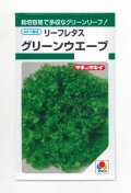 送料無料　[レタス]　リーフレタス　グリーンウェーブ　1.8ml　タキイ種苗(株)　GF
