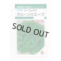 送料無料　[レタス]　リーフレタス　グリーンウェーブ　1.8ml　タキイ種苗(株)　GF