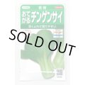 送料無料　[中国野菜]　チンゲンサイ　青帝チンゲンサイ　約500粒　(株)サカタのタネ　実咲350（002991）
