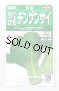 送料無料　[中国野菜]　チンゲンサイ　青帝チンゲンサイ　約500粒　(株)サカタのタネ　実咲350（002991）
