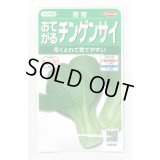 送料無料　[中国野菜]　チンゲンサイ　青帝チンゲンサイ　約500粒　(株)サカタのタネ　実咲350（002991）