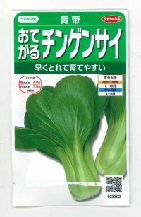 [中国野菜]　チンゲンサイ　青帝チンゲンサイ　約500粒　サカタのタネ（株）　実咲300