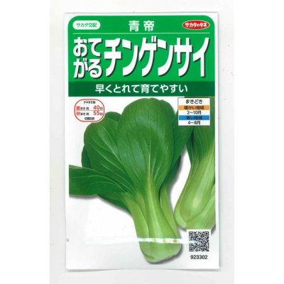 画像1: [中国野菜]　チンゲンサイ　青帝チンゲンサイ　約500粒　サカタのタネ（株）　実咲300