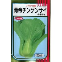 [中国野菜]　チンゲンサイ　青帝チンゲンサイ　2dl（2024年5％増量）　サカタのタネ（株）