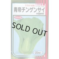 送料無料　[中国野菜]　チンゲンサイ　青帝チンゲンサイ　20ml　(株)サカタのタネ