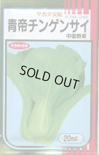 送料無料　[中国野菜]　チンゲンサイ　青帝チンゲンサイ　20ml　(株)サカタのタネ