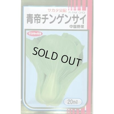 画像1: 送料無料　[中国野菜]　チンゲンサイ　青帝チンゲンサイ　20ml　(株)サカタのタネ