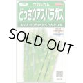 送料無料　[アスパラガス]　ウェルカム　約20粒　(株)サカタのタネ　実咲450（003040）