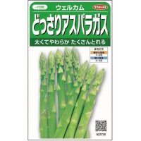 [アスパラガス]　ウェルカム　約20粒　サカタのタネ（株）　実咲400