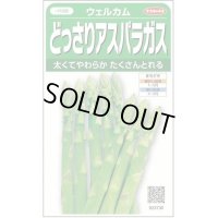 送料無料　[アスパラガス]　ウェルカム　約20粒　(株)サカタのタネ　実咲450（003040）