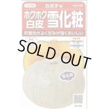 送料無料　[かぼちゃ]　雪化粧　約8粒　(株)サカタのタネ　実咲450（002868）