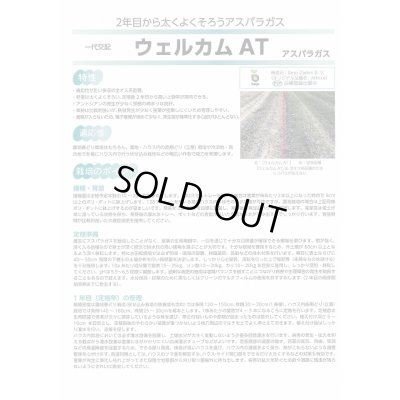 画像3: 送料無料　[アスパラガス]　ウェルカムAT　100粒　(株)サカタのタネ