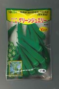送料無料　[オクラ]　グリーンジュエリー　1000粒　トキタ種苗(株)