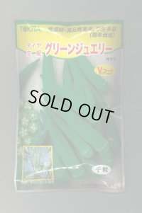 送料無料　[オクラ]　グリーンジュエリー　1000粒　トキタ種苗(株)