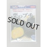 送料無料　[かぼちゃ]　栗っプチ　100粒　(株)サカタのタネ