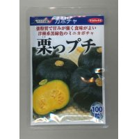 [かぼちゃ]　栗っプチ　100粒　サカタ交配　