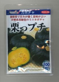 [かぼちゃ]　栗っプチ　100粒　サカタ交配　