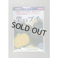送料無料　[かぼちゃ]　栗っプチ　100粒　(株)サカタのタネ