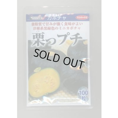 画像1: 送料無料　[かぼちゃ]　栗っプチ　100粒　(株)サカタのタネ
