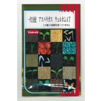 送料無料 [アスパラガス] ウェルカムAT 100粒 (株)サカタのタネ