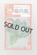 送料無料　[ほうれんそう]　福兵衛　40ml　タキイ種苗(株)　RF