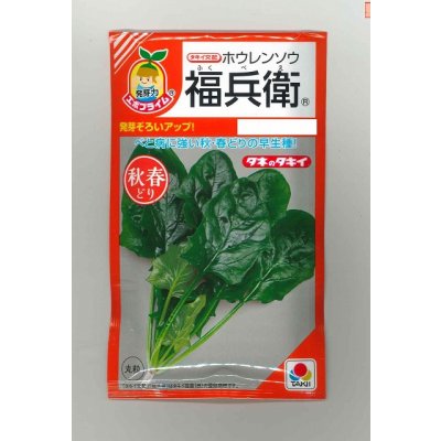 画像1: 送料無料　[ほうれんそう]　福兵衛　40ml　タキイ種苗(株)　RF