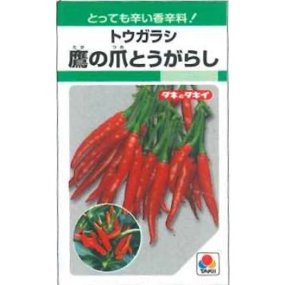 画像1: 送料無料　とうがらし種　鷹の爪　約360粒　タキイ種苗　GF