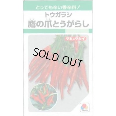 画像1: 送料無料　とうがらし種　鷹の爪　約360粒　タキイ種苗　GF
