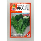 送料無料　[ほうれんそう]　弁天丸　40ml　タキイ種苗　RF
