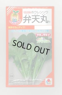 送料無料　[ほうれんそう]　弁天丸　40ml　タキイ種苗　RF