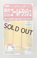送料無料　[とうもろこし]　ゴールドラッシュ90　約55粒　(株)サカタのタネ　実咲450（002890）