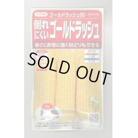 送料無料　[とうもろこし]　ゴールドラッシュ90　約55粒　(株)サカタのタネ　実咲450（002890）