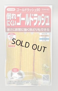 送料無料　[とうもろこし]　ゴールドラッシュ90　約55粒　(株)サカタのタネ　実咲450（002890）