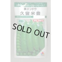 [グリーンピース]　久留米豊　18ml（およそ30粒）　タキイ種苗　GF　