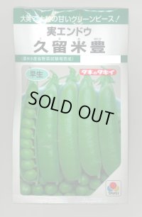 [グリーンピース]　久留米豊　18ml（およそ30粒）　タキイ種苗　GF　