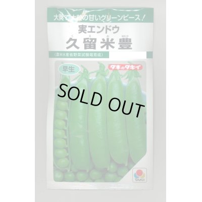 画像1: [グリーンピース]　久留米豊　18ml（およそ30粒）　タキイ種苗　GF　