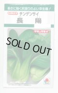 送料無料　[中国野菜]　チンゲンサイ　長陽　2.7ml　タキイ種苗(株)　GF