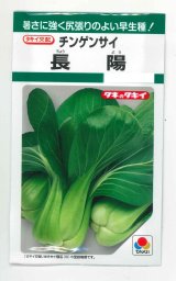 送料無料　チンゲンサイ　長陽　2.7ml　タキイ種苗(株)　GF