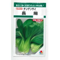 [中国野菜]　チンゲンサイ　長陽　2.7ml　タキイ交配　GF