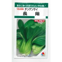 送料無料　[中国野菜]　チンゲンサイ　長陽　2.7ml　タキイ種苗(株)　GF