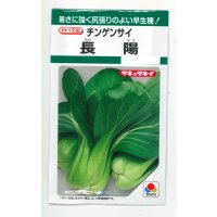 [中国野菜]　チンゲンサイ　長陽　2.7ml　タキイ種苗（株）　GF