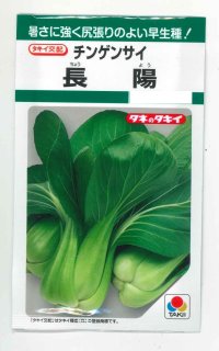 [中国野菜]　チンゲンサイ　長陽　2.7ml　タキイ交配　GF