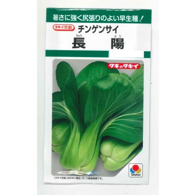 画像1: 送料無料　[中国野菜]　チンゲンサイ　長陽　2.7ml　タキイ種苗(株)　GF