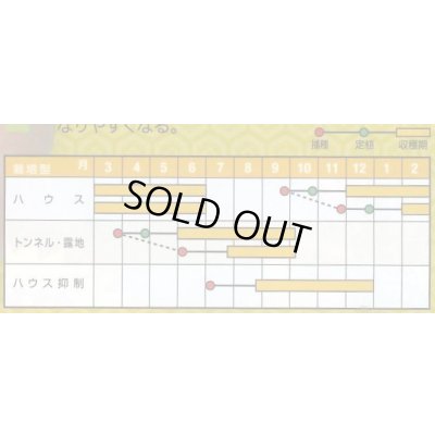 画像5: 送料無料　[オクラ]　大奥　6ml(約60粒)　ナント種苗(株)