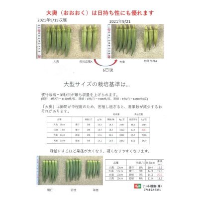 画像4: 送料無料　[オクラ]　大奥　2000粒　ナント種苗(株)