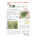 画像3: [オクラ]　大奥　6ml（約60粒）　ナント種苗（株）